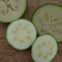 Courgette ronde de Nice