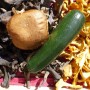 Courgette verte maraichère