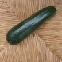 Courgette noir verte maraichère